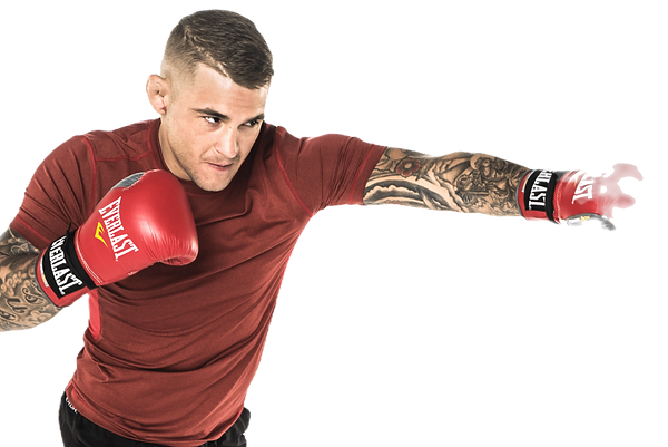 everlast dp 2_edited.png